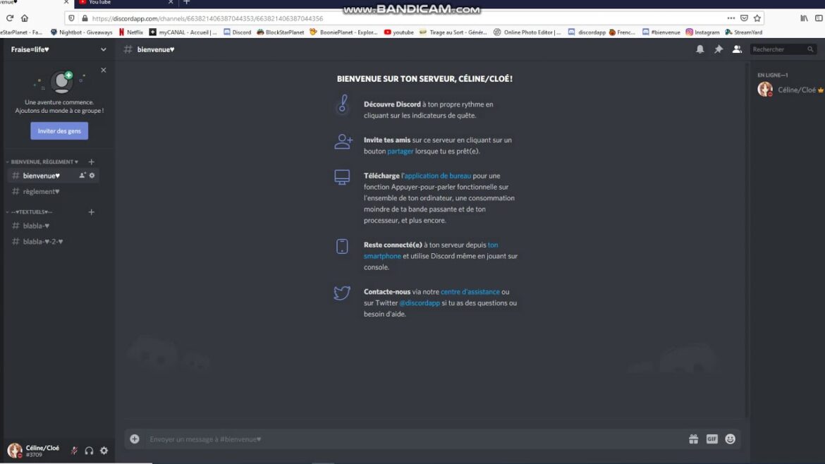 Quels sont les meilleurs serveurs Discord ?