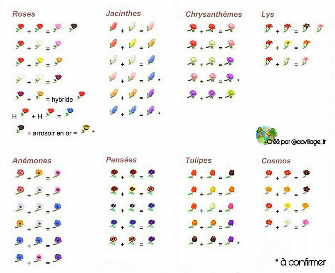 Comment placer les fleurs pour faire des hybrides ?