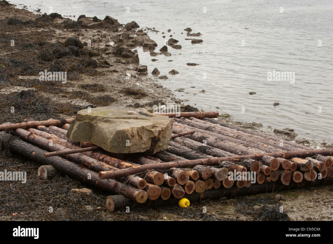 Comment avoir la boutique de Racine ?