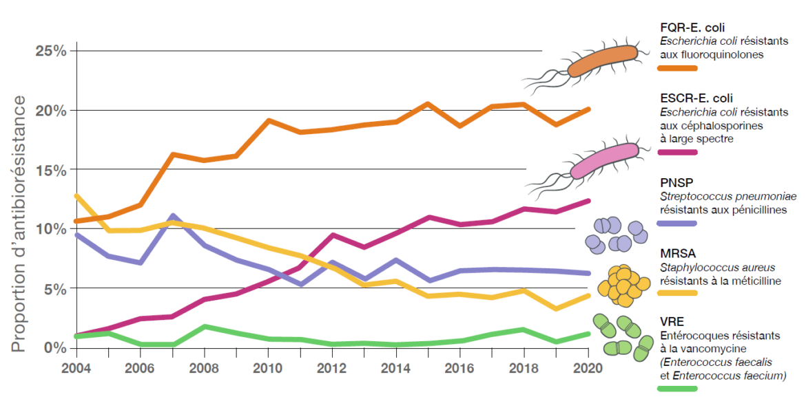 Comment avoir Corboss ?