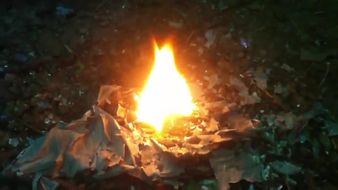 Comment pirater les ravageurs ?