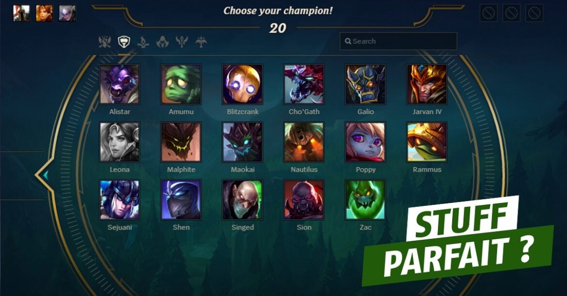 Quel est le rôle du support lol ?