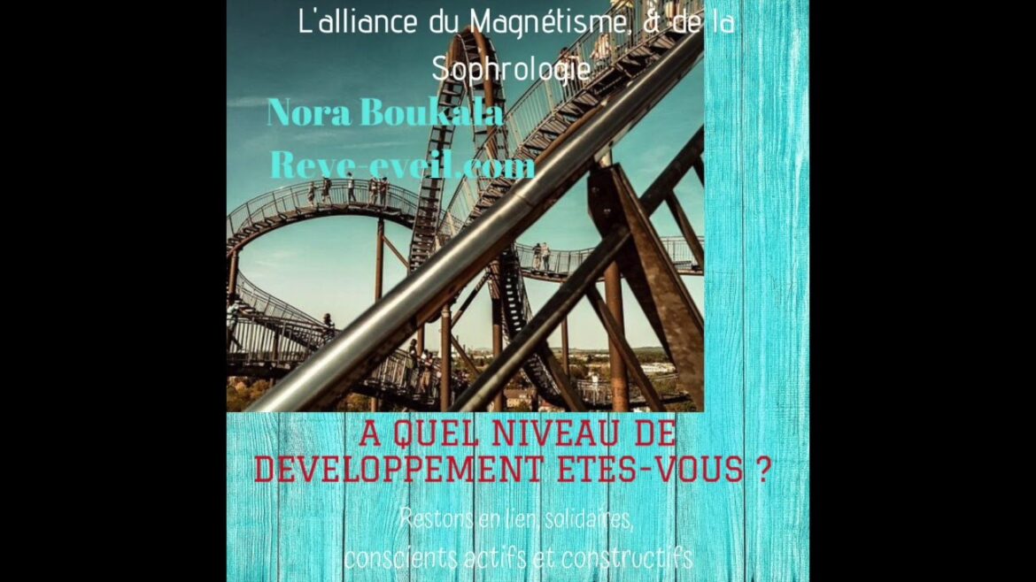 Où mettre la rune de Rennala ?