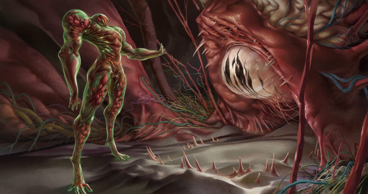 Comment reconnaître un Corbeau et une corneille ?