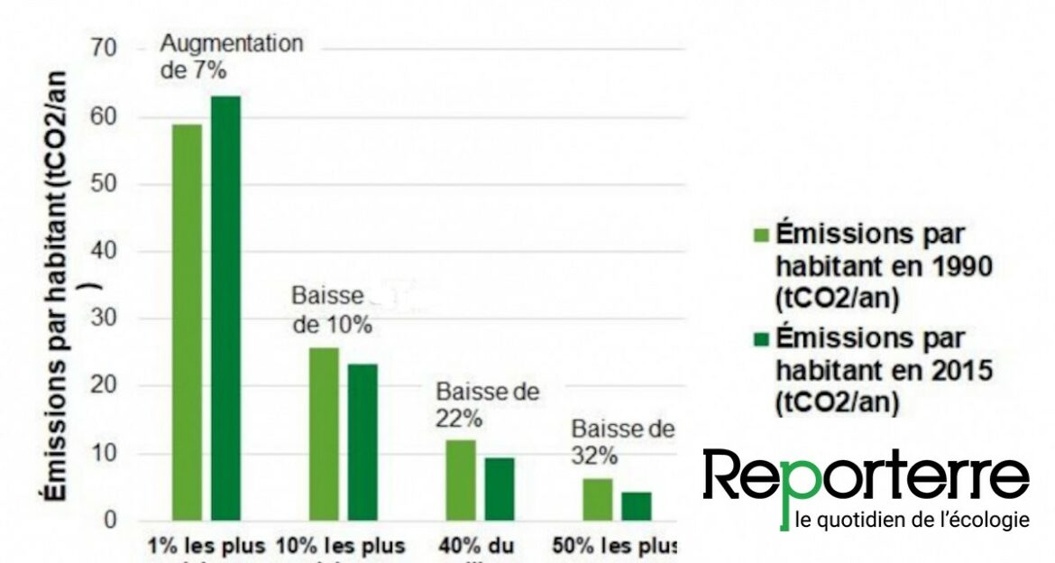 Comment faire des confettis de fleurs séchées ?