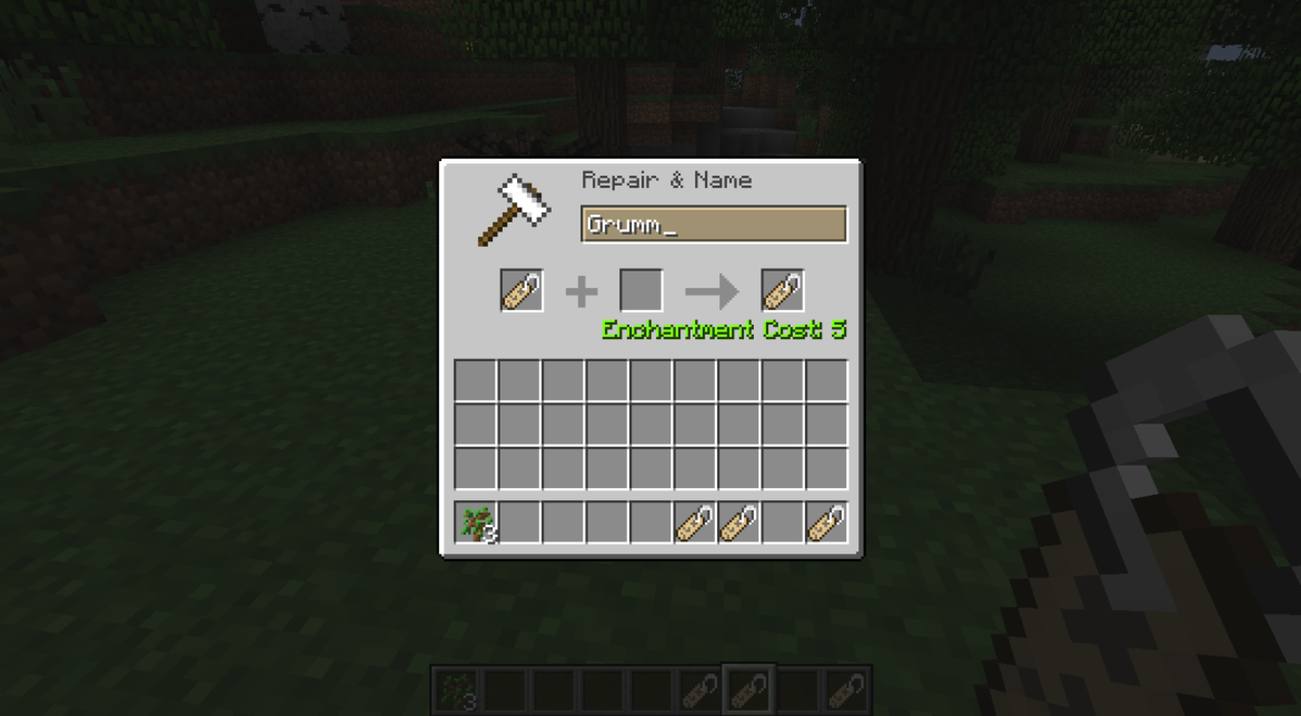 Comment faire une bonne survie sur Minecraft ?