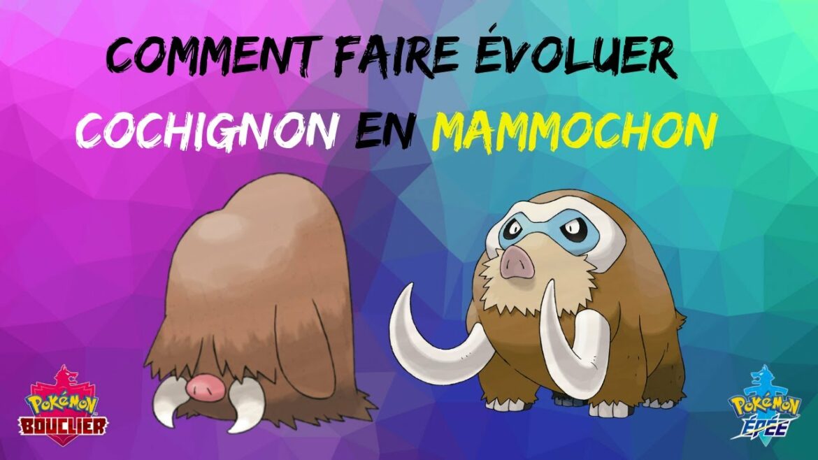 Comment faire evoluer Branette ?