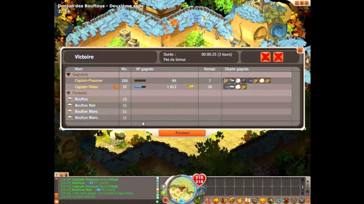 Quel niveau pour les Dofus ?