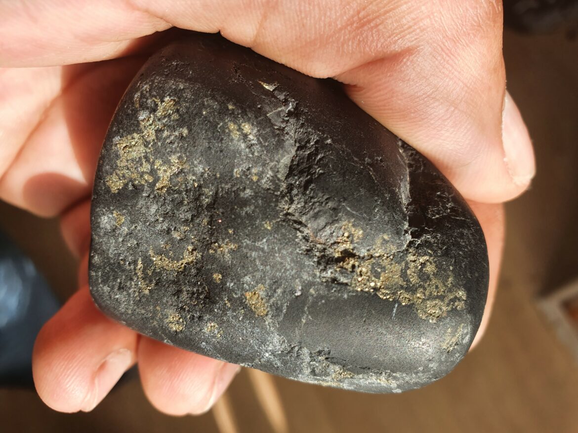 Comment faire évoluer Évoli en Noctali Pokémon Go ?