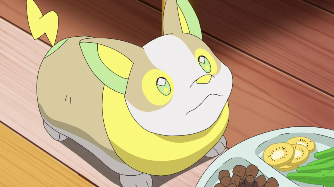 Is zoroark a dog or cat?