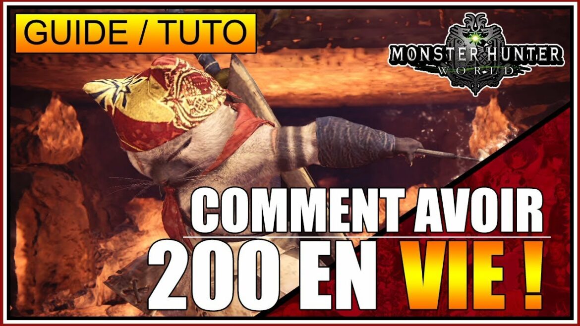 Comment fonctionne le fief glorieux ?