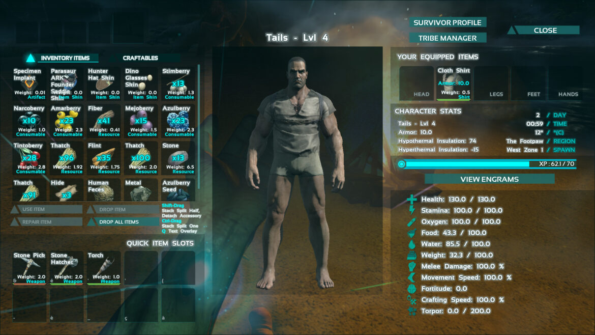 Comment utiliser commande admin Ark ?